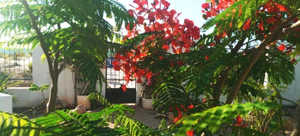 Cytyz Appart Hotel Mahajanga Exterior foto