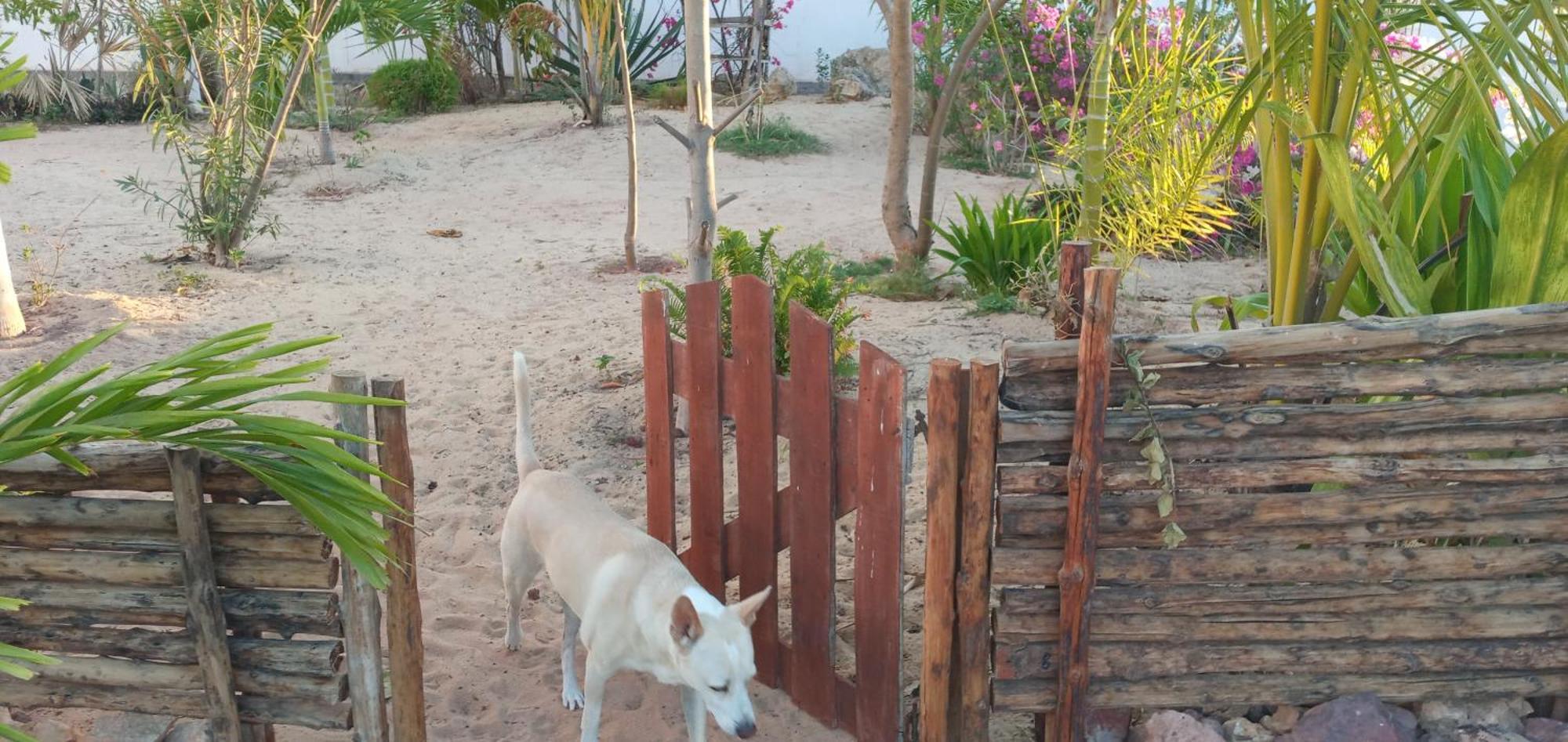 Cytyz Appart Hotel Mahajanga Exterior foto